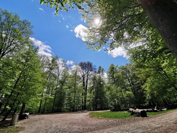 IMG_20210507_144208 IMG_20210507_144208