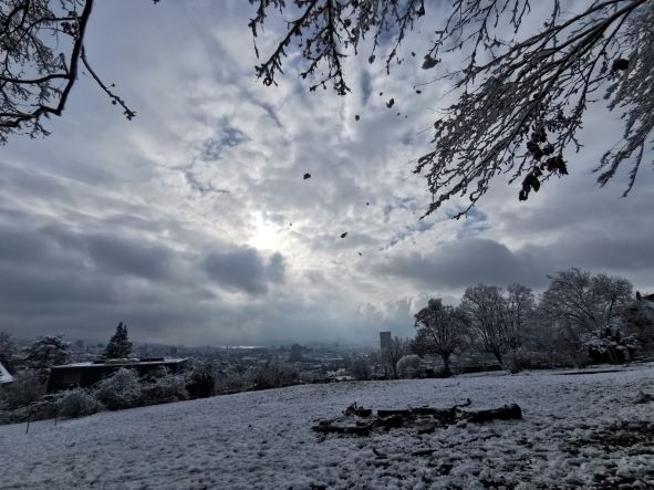 IMG_20211129_113820 IMG_20211129_113820