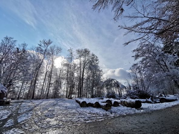 IMG_20211129_122622 IMG_20211129_122622