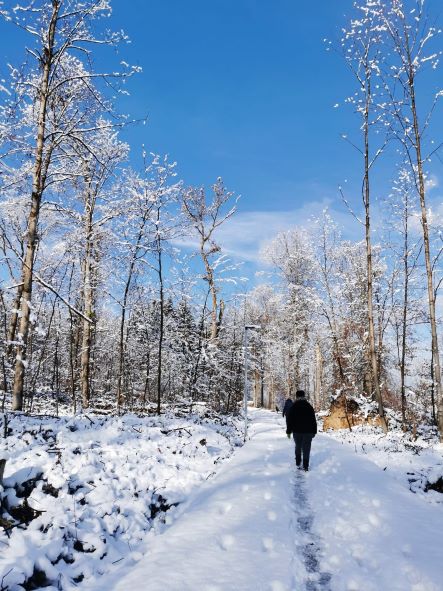 IMG_20211129_123027 IMG_20211129_123027