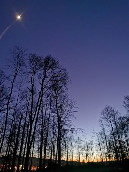 IMG_20220207_182539 IMG_20220207_182539