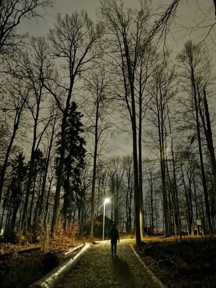 IMG_20220214_191755 IMG_20220214_191755